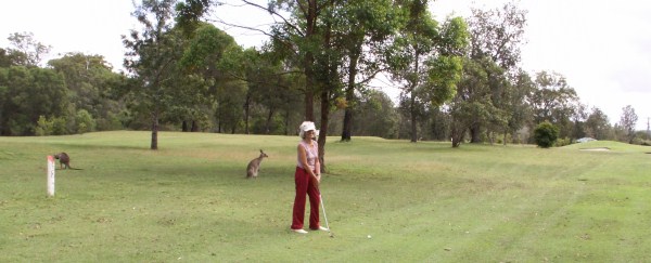 Golf con canguros