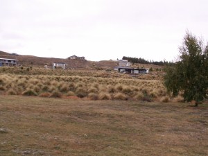 droog landschap