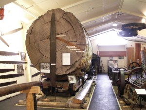 Kauri boom in museum