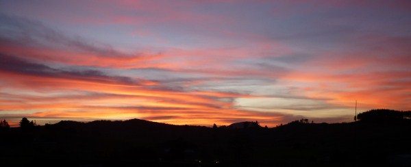 avond whangarei