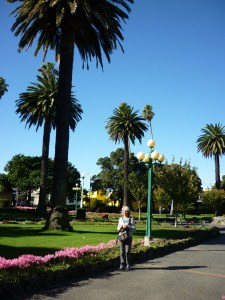 plein in Napier