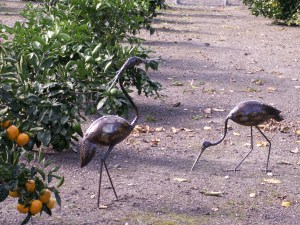 zuid afr figuren